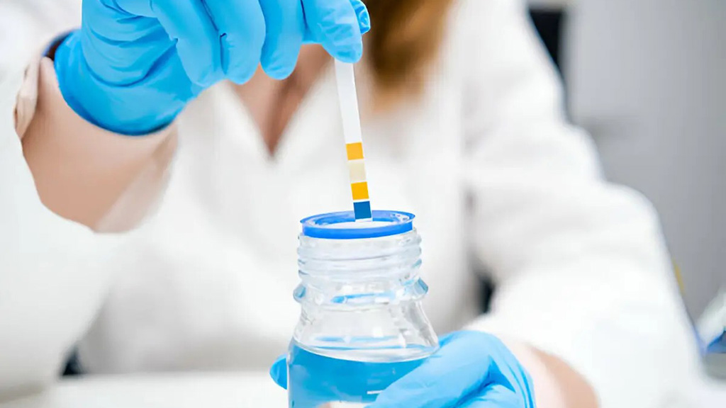 5 Steps to Test Your Home’s Water Quality in Florida